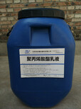 定兴县聚丙烯酸酯乳液水泥砂浆市场报价图片0
