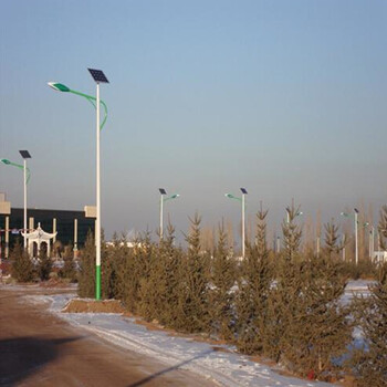 供应西藏拉萨锂电太阳能路灯生产厂家6米规格1300元一套