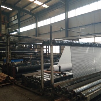 安徽滁州市钢塑土工格栅厂家GSZ20-100KN钢塑土工格栅