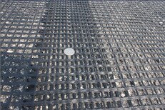 四川自贡市钢塑土工格栅厂家GSZ20-100KN钢塑土工格栅图片4