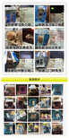 广州健康的马犬马犬出售马犬繁殖基地图片4