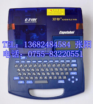 丽标佳能PR-T101胶头打码机C-210T