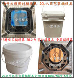 大型模具，7L胶水桶塑胶模具，7L液体塑料桶塑胶模具，7L食品桶塑胶模具图片0