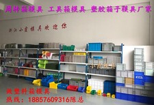 塑料模具定做，橘子蓝子模具，香蕉框模具，柿子框模具图片5