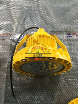 HRD91-防爆马路灯100W_管式工矿灯具