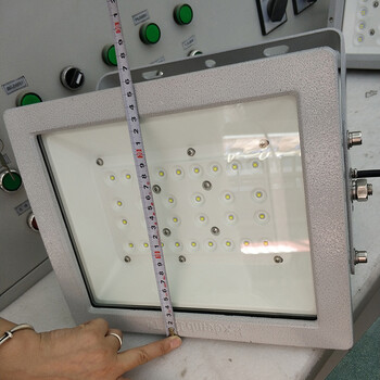 YGD650德州管廊LED防爆燈