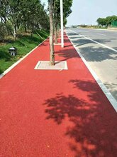 江苏南通彩色透水混凝土道路透水地坪路面厂家图片