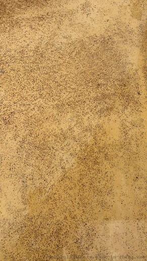 合肥度假区砾石聚合物仿石路面彩色艺术地坪包工包料