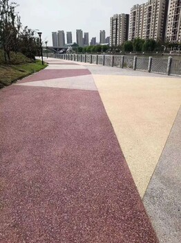 北京庭院園路綠化透水混凝土天然露骨料透水人行道裝飾做法