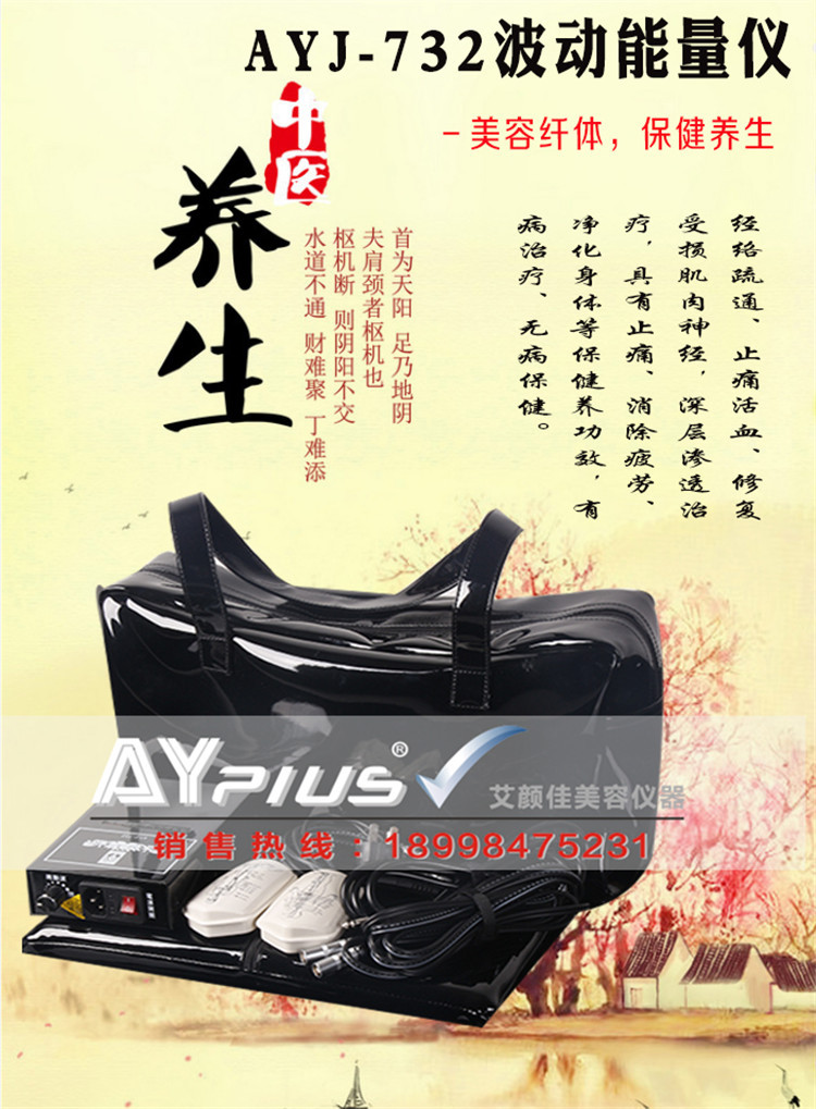 养生仪器,经络调理养生,负离子保健仪器,波频仪图片