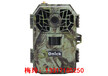 紅外觸發相機帶彩信及通話功能/Onick（歐尼卡）AM-920現貨供應