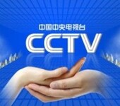 北京央视广告代理公司排名央视广告专业代理