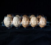 透明鸡蛋托，10枚中号鸡蛋托，透明鸡蛋盒，十枚蛋托