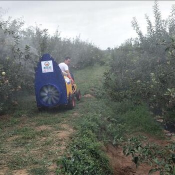果哈哈四輪寶塔型自走式果園打藥機(jī)