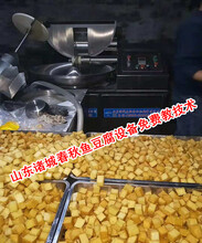 山东鱼豆腐生产设备厂家，制作鱼豆腐生产加工设备带教技术
