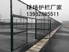 厂家直销热镀锌材料球场围网十年防腐围网球场围网专家ZL-QW14