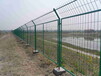 绿色防护栏厂家梅州浸塑钢丝网护栏广州护栏网批发