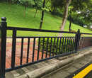 江门省道改造工程绿道栏杆更换市政甲型栅栏