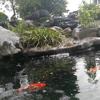 宝山区小区景观设计,景观改造设计