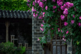 上海中式景观设计,徽派花园设计