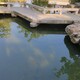 杭州鱼池净化图