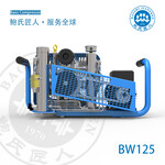 BX100/EM/ET意大利呼吸器充气泵