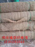 椰丝毯节能绿化环保草种植物纤维毯草毯生态毯厂家