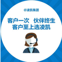重慶凌凱14年本地化企業平臺服務商