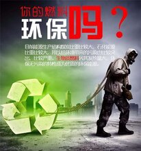 生物质压块燃料锅炉图片