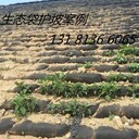 綠化草毯生態(tài)袋環(huán)保草毯植物纖維毯植生袋植生毯