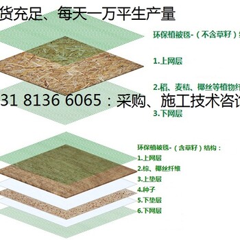 植被毯椰丝毯矿山边坡绿化生态毯环保草毯植物纤维毯