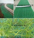河道綠化椰絲毯抗沖生物毯植物纖維毯廠家椰絲毯廠家