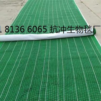 河道绿化生态毯抗冲生物毯椰丝毯麻椰固土毯边坡绿化
