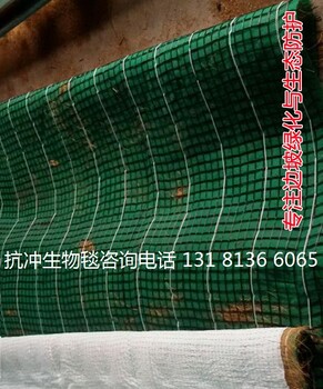 抗冲生物毯边坡绿化椰丝毯麻椰固土毯植物纤维毯厂家