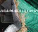 环保草毯生态植被毯河道绿化公路边坡防护抗冲生物毯图片