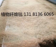 生态毯抗冲生物毯抗冲刷椰丝毯膨润土防水毯环保草毯厂家图片5