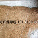 植物纖維毯邊坡綠化青海環(huán)保草毯生態(tài)毯植生毯椰絲毯廠