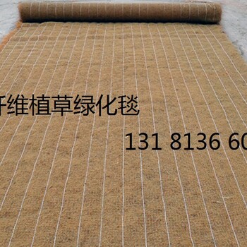 环保草毯抗冲生物毯生态毯边坡修复椰丝毯植物纤维毯厂家