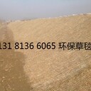 公路边坡防护椰丝毯环保草毯生态毯抗冲生物毯麻椰固土毯