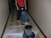 南京专业公司地毯清洗，南京专业办公室洗地毯在线咨询