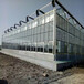 供应供应供应承德衡水温室大棚WJK96温室玻璃温室温室大棚工程