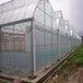 供应供应河北邯郸薄膜温室WD8430A温室大棚骨架蔬菜大棚育苗大棚