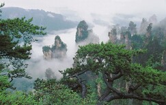 去张家界旅游怎样安排?两日游三日游怎么玩好，旅游路线怎么安排图片1