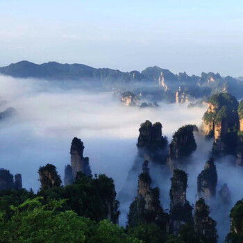 张家界旅游立成团小包团特色，一家人去张家界旅游攻略