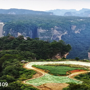 张家界森林公园和天门山3日游攻略和路线，去张家界森林公园和天门山两个一共三天线路