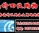 回收5000面值的连心卡，回收记名商通卡，连心卡余额查询图片