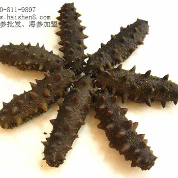 食用煙臺(tái)海參對男性有什么影響
