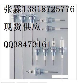 BERUZE14-8-70A1德国布鲁点火电极