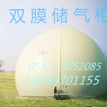 供應(yīng)雙膜儲氣柜的功能描述—力揚(yáng)環(huán)保