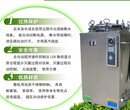 廊坊滨江LS-35/50/75/100HD立式压力蒸汽灭菌器数码显示自动型